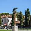 Foto: Colonna della Lupa - Torre di Pisa e Piazza dei Miracoli  (Pisa) - 1